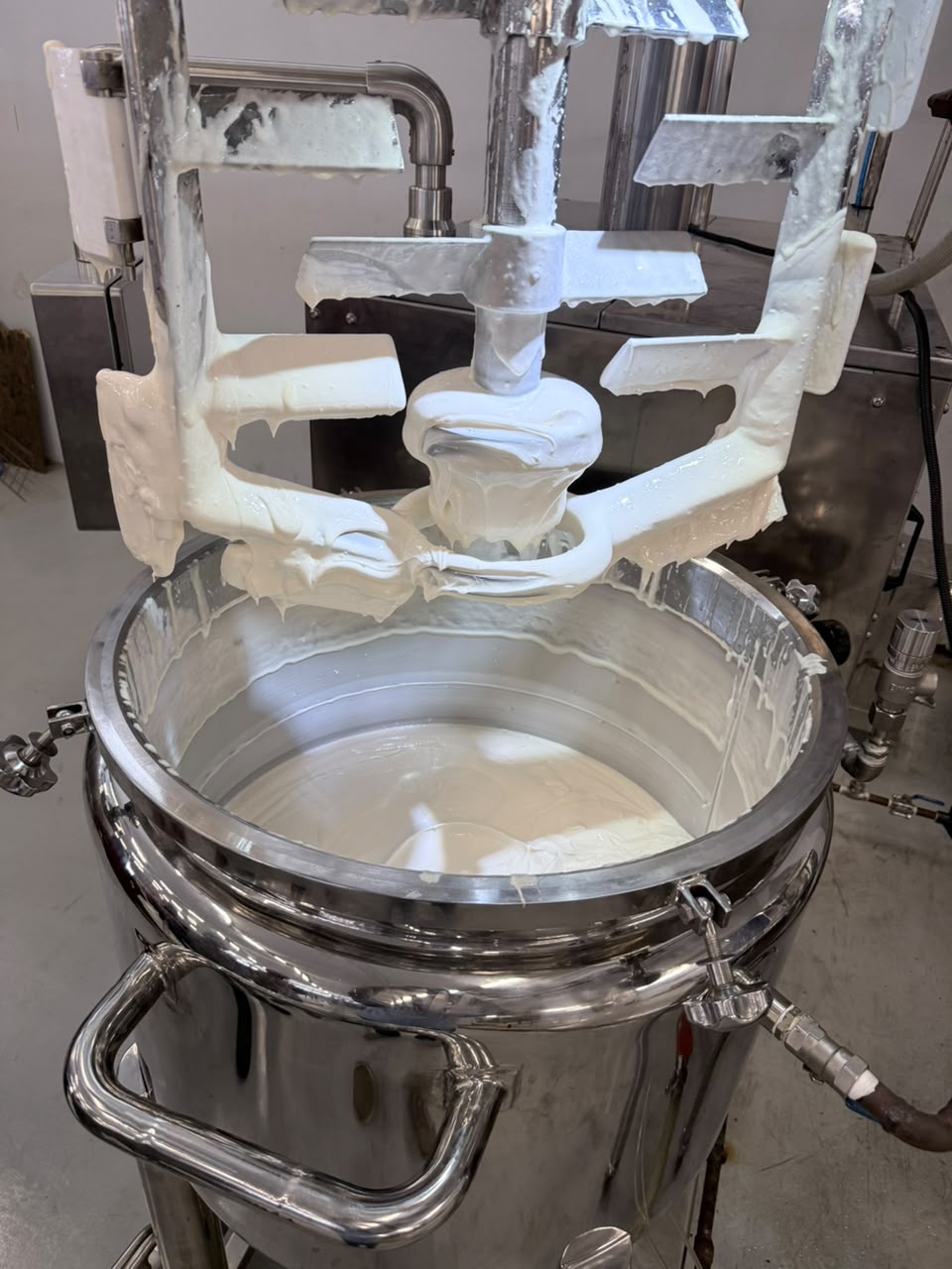 Multimix DSM Vacuum Emulsifier used for mayonnaise production