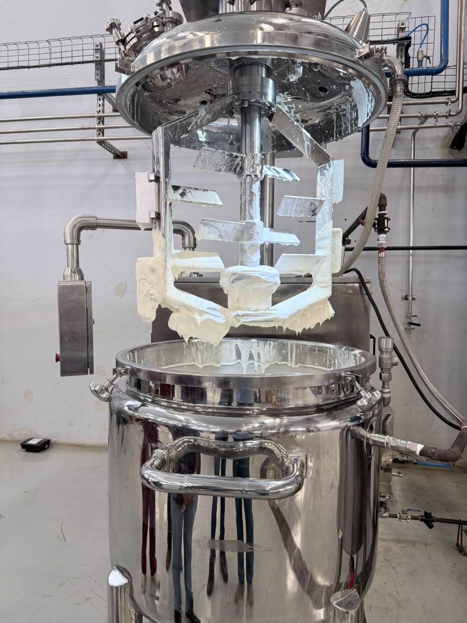 Multimix DSM Vacuum Emulsifier used for mayonnaise production